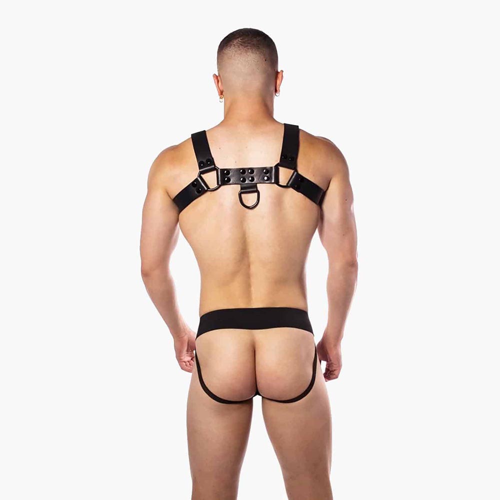 Noir Harness Premium Noir Harness Premium