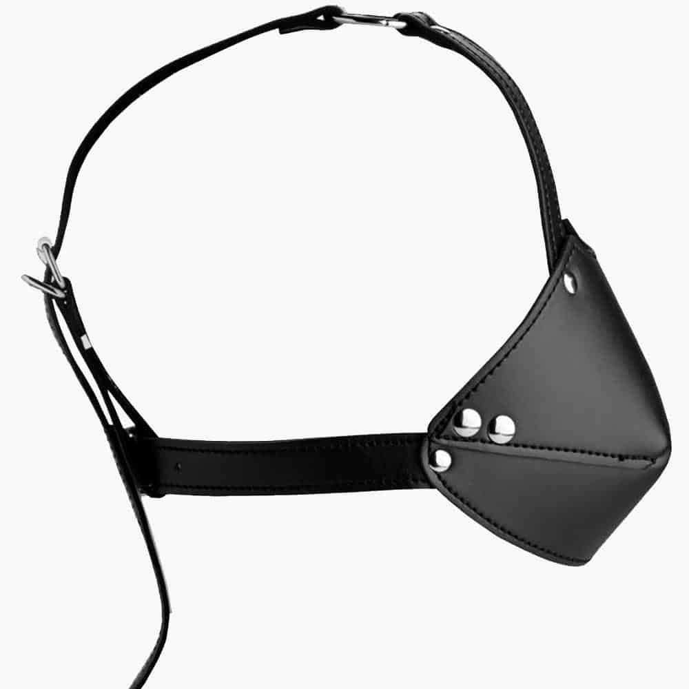 Mouth Harness with Ball Gag Mouth Harness with Ball Gag