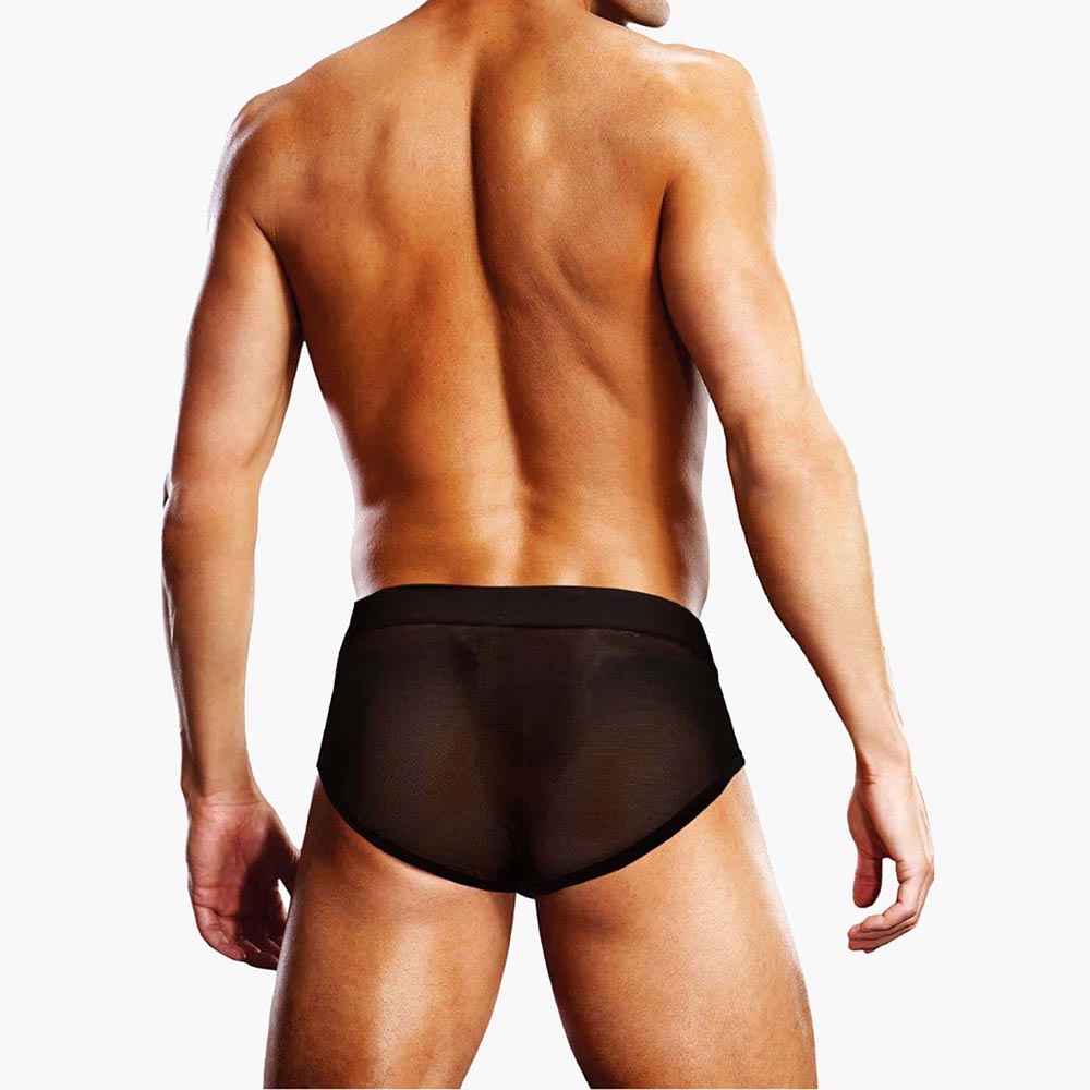 Mesh Brief Mesh Brief