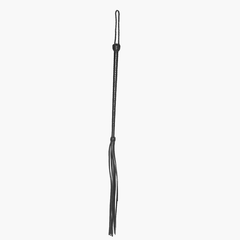 Long Handled Whip Long Handled Whip