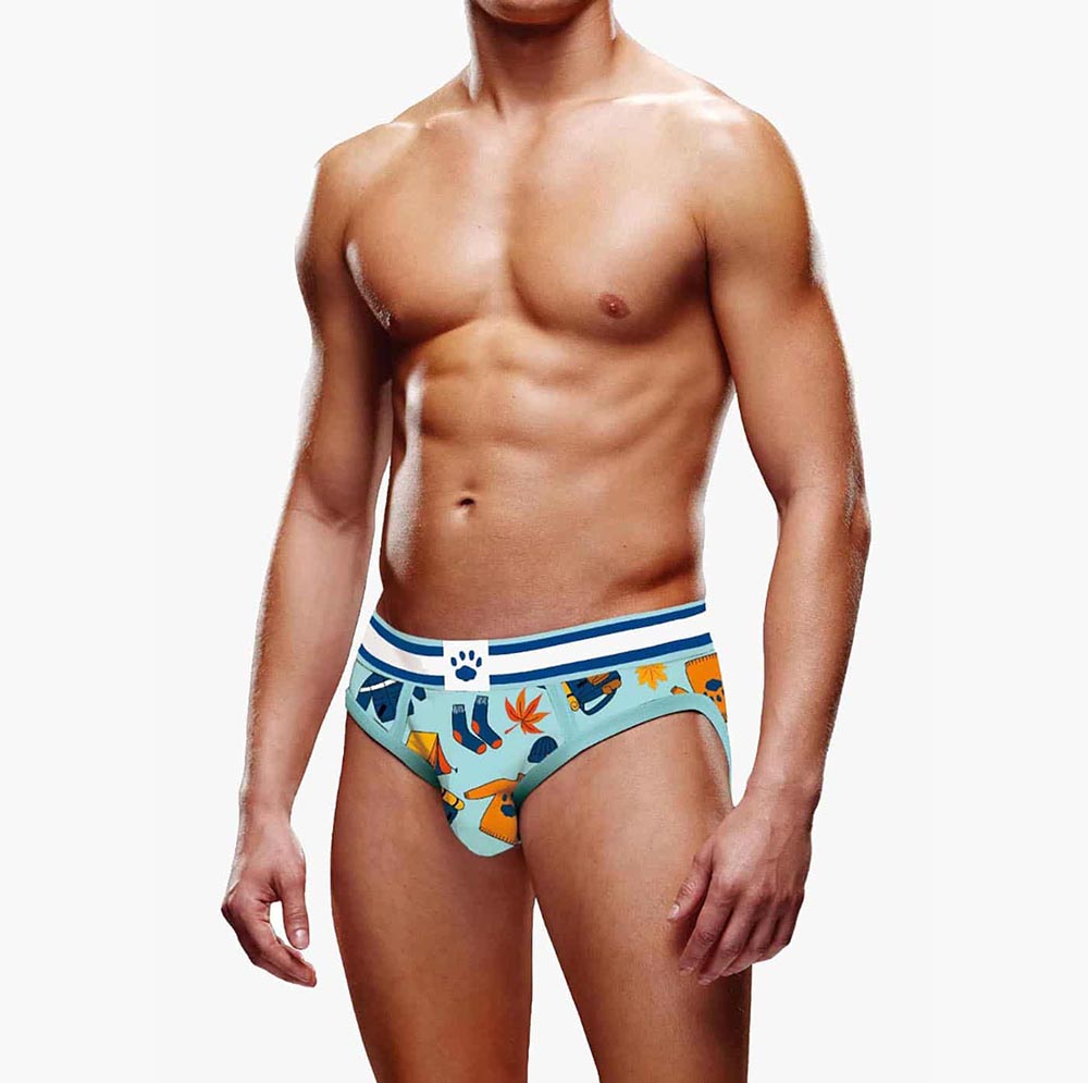 Autumn Scene Brief Autumn Scene Brief