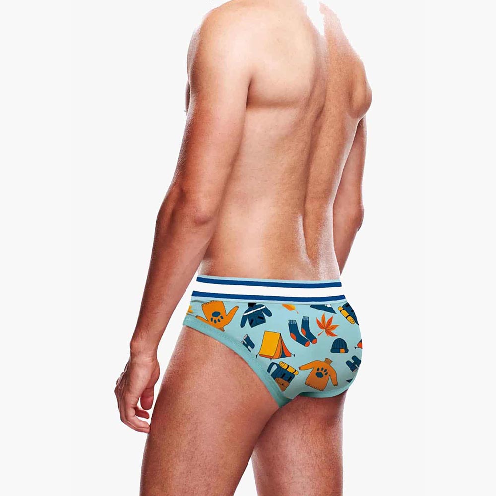 Autumn Scene Brief Autumn Scene Brief