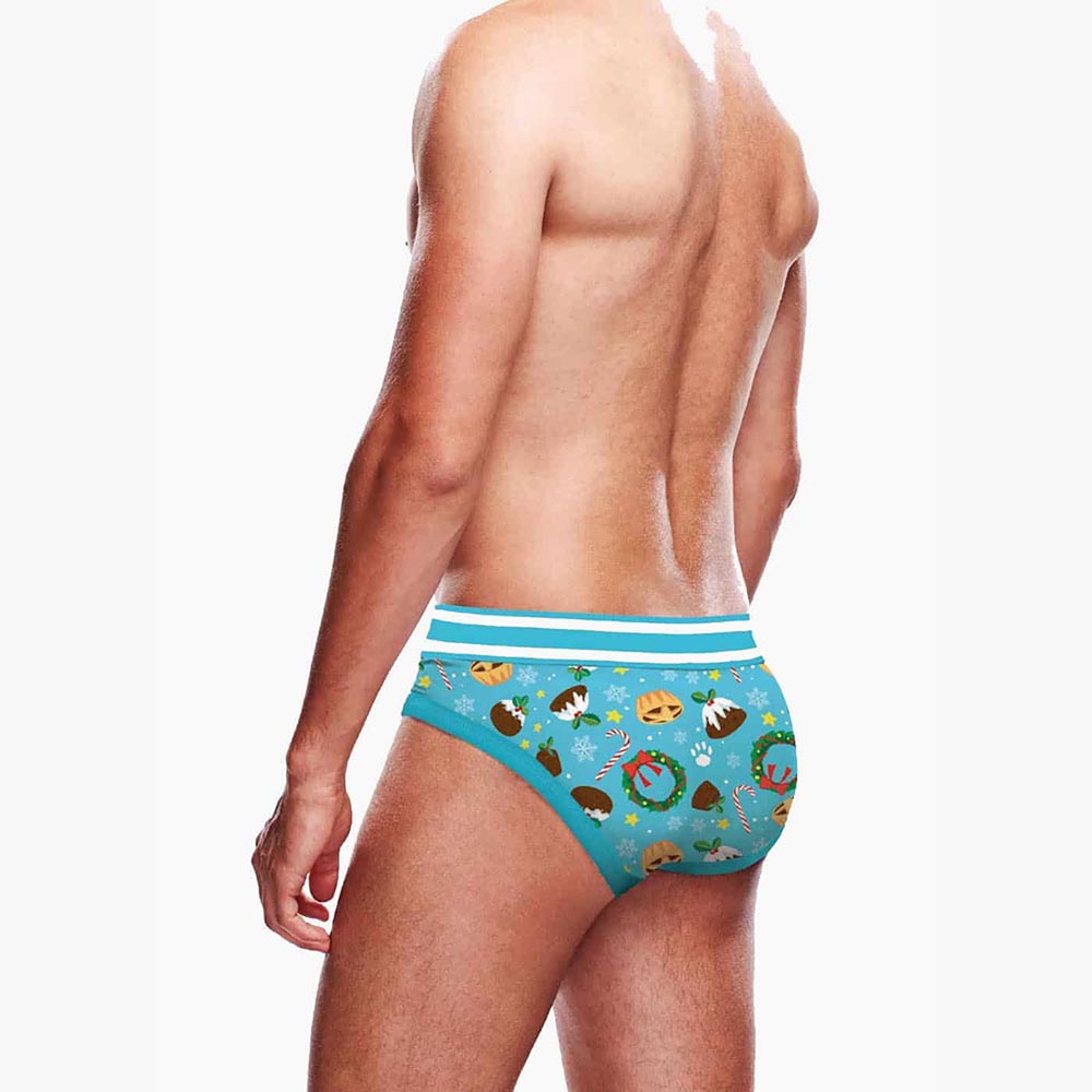 Christmas Pudding Brief Christmas Pudding Brief
