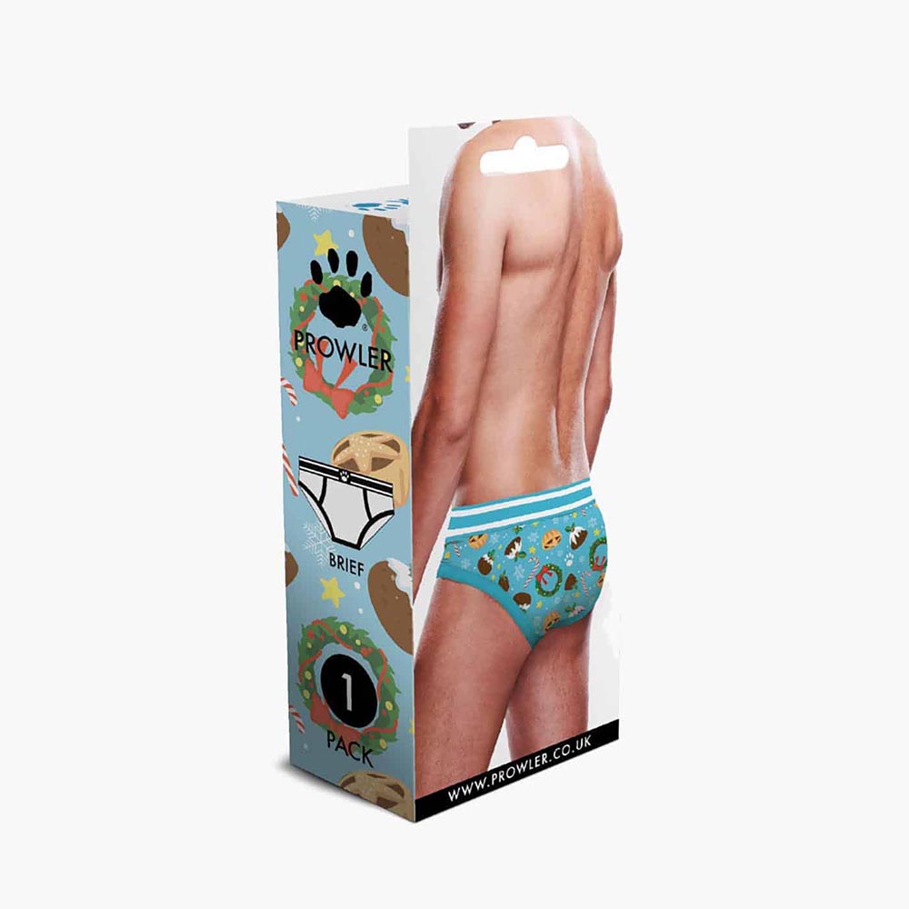 Christmas Pudding Brief Christmas Pudding Brief