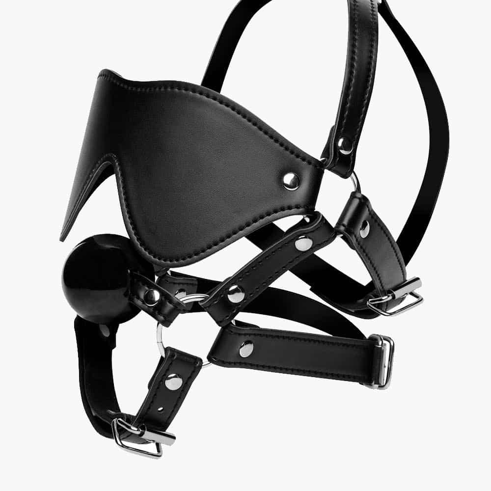Blindfold Harness And Ball Gag