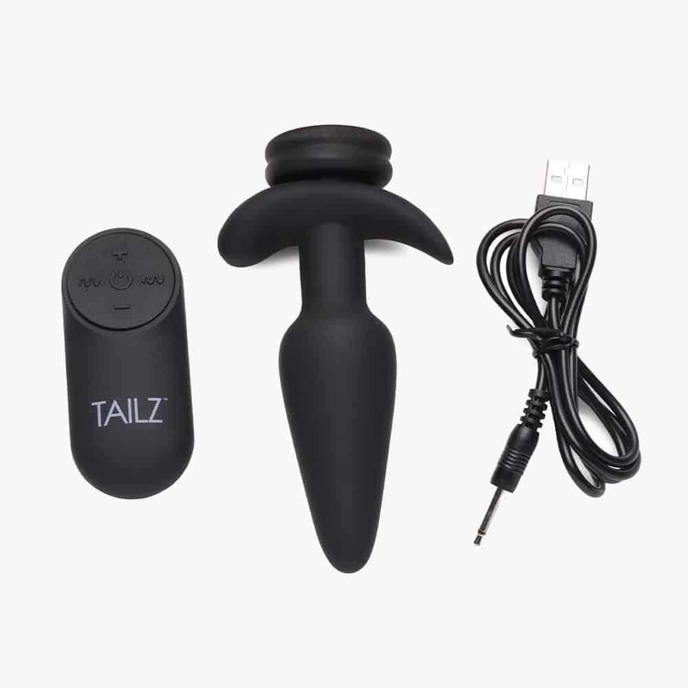 Interchangeable 10X Vibrating Anal Plug With Remote