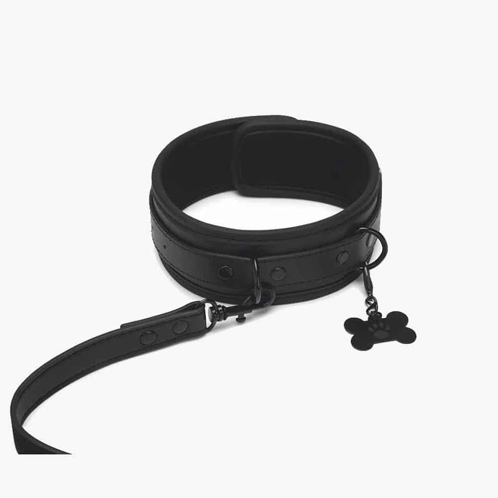 Collar and Leash Collar and Leash