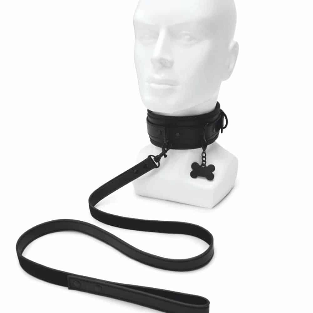 Collar and Leash Collar and Leash