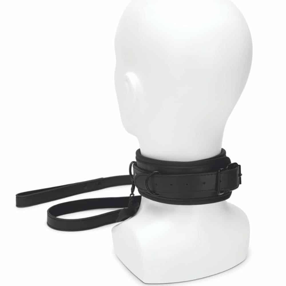 Collar and Leash Collar and Leash