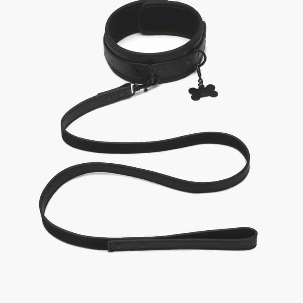 Collar and Leash Collar and Leash