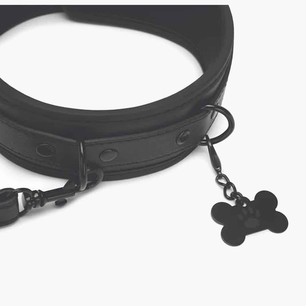 Collar and Leash Collar and Leash
