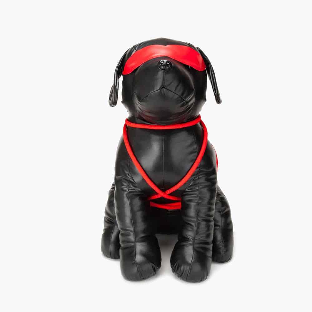 Roped Up Rover Large Roped Up Rover Large