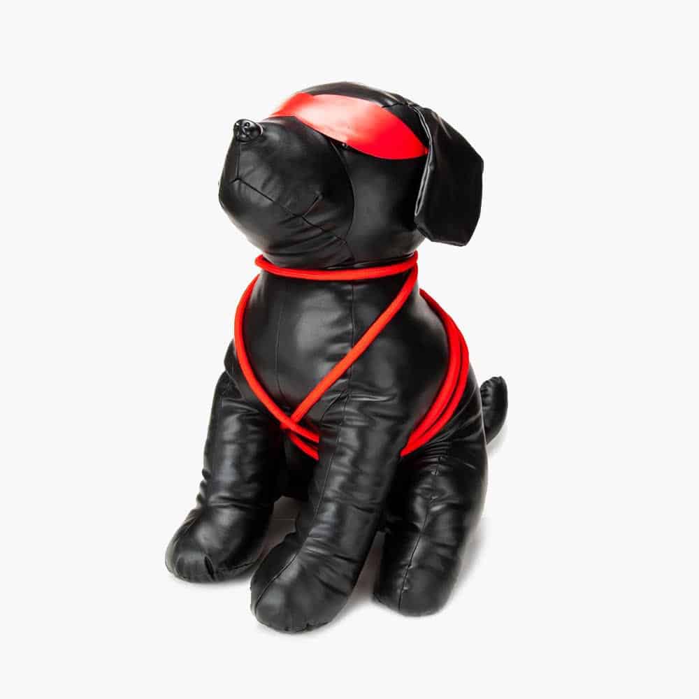 Roped Up Rover Large Roped Up Rover Large