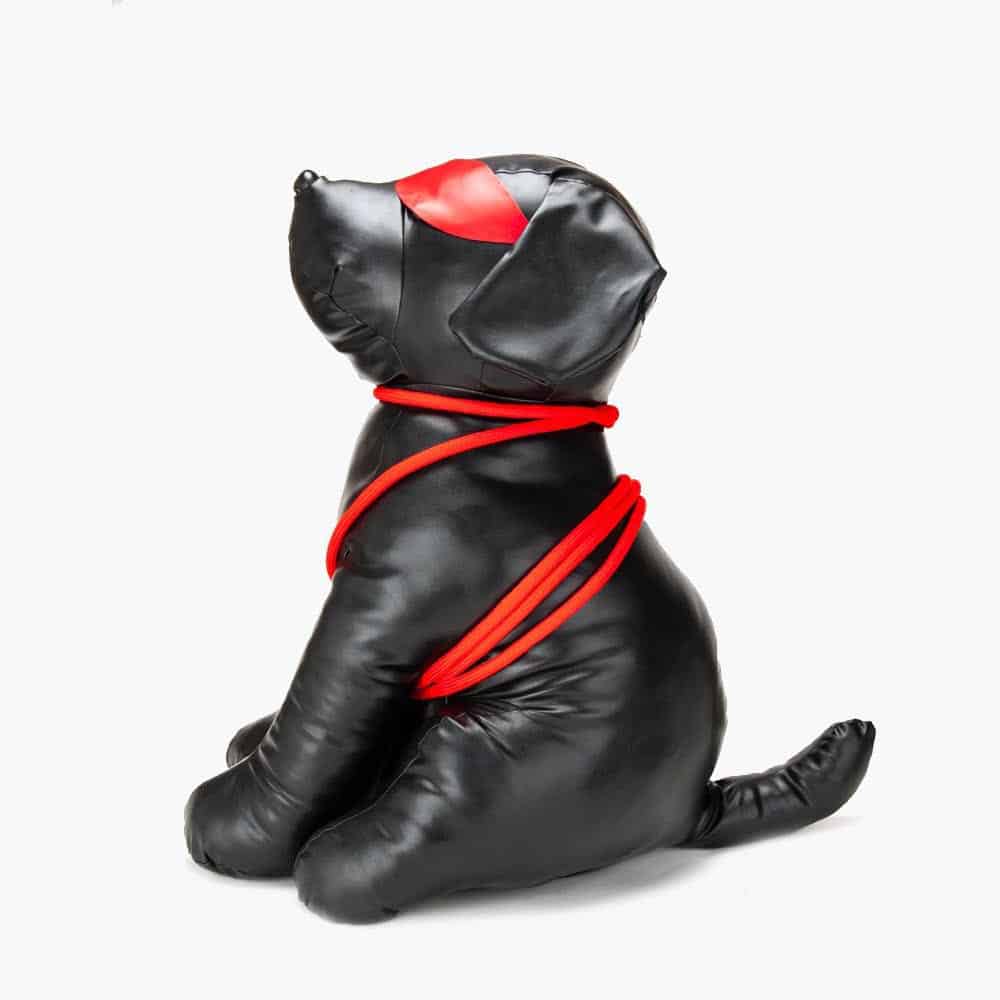 Roped Up Rover Large Roped Up Rover Large