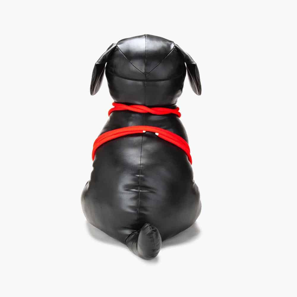 Roped Up Rover Large Roped Up Rover Large