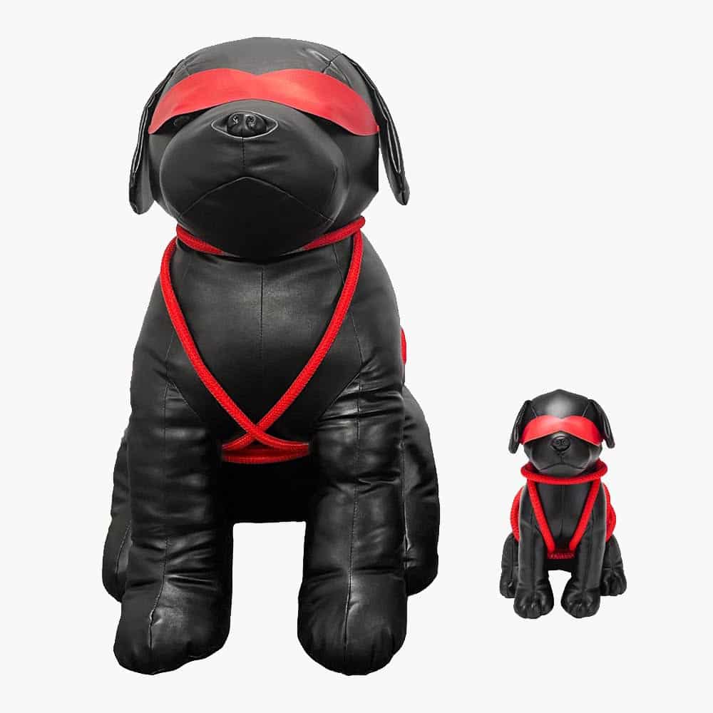 Roped Up Rover Large Roped Up Rover Large