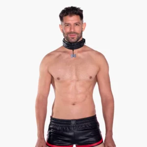 Collar and Leash Collar and Leash
