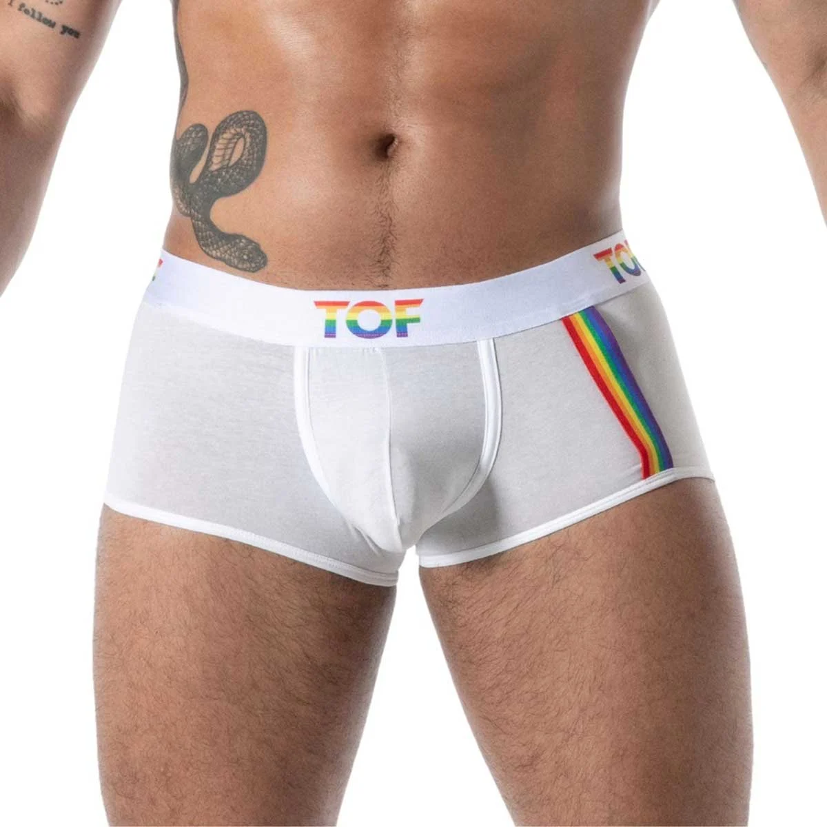 Joyful Pride Trunks Joyful Pride Trunks