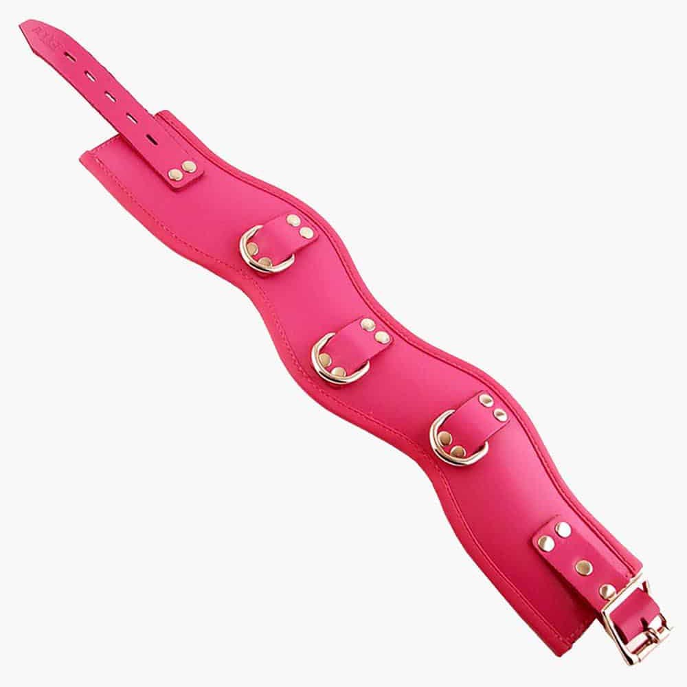 Rouge Leather Posture Collar Black Red Pink Purple | BDSM Restraint D-Rings - Picture 10 of 13