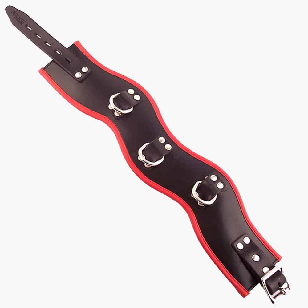 Rouge Leather Posture Collar Black Red Pink Purple | BDSM Restraint D-Rings - Picture 8 of 13
